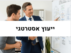 חברת Dari - ייעוץ אסטרטגי לעסקים וחברות
