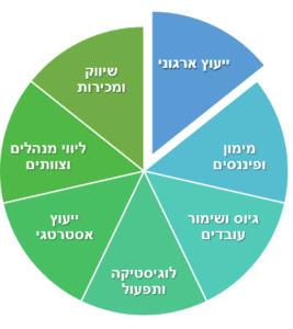 ייעוץ עסקי לחברות - האתגרים והפתרונות