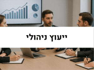 יעוץ ניהולי
