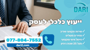 ייעוץ כלכלי לעסק - דארי